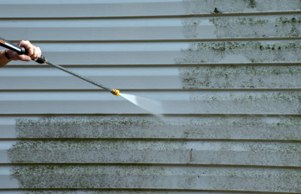 Best Building Exterior Washing  in East Ithaca, NY
